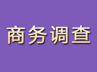 都安商务调查