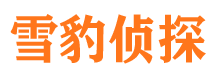 都安寻人公司